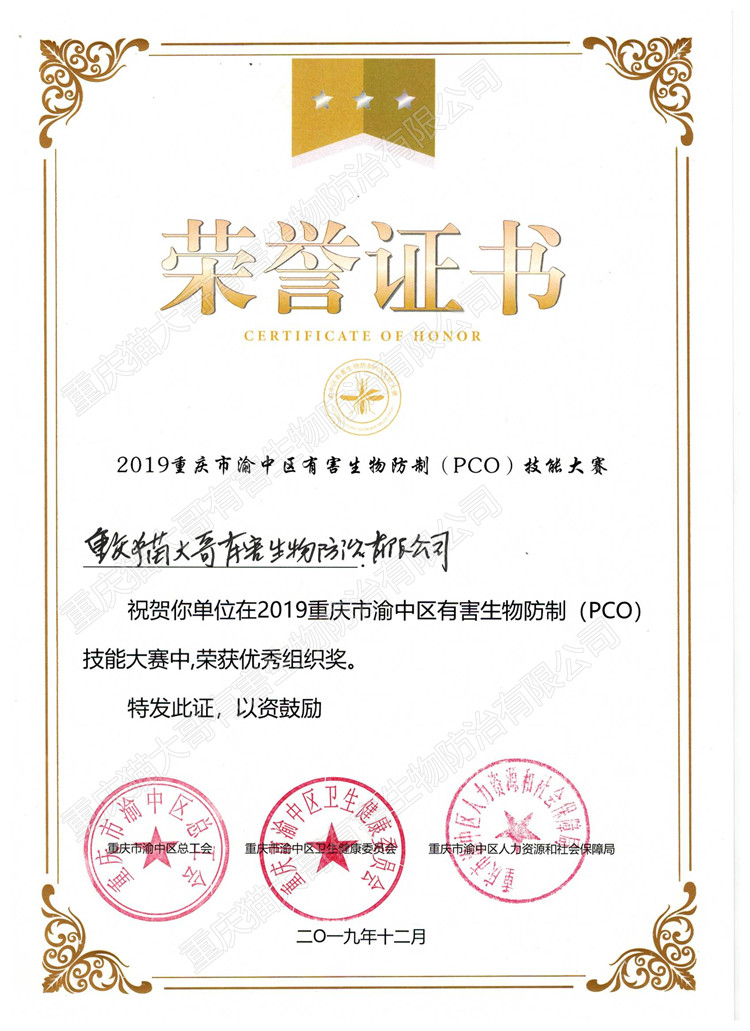 《2019年渝中区技能大赛》-荣誉证书