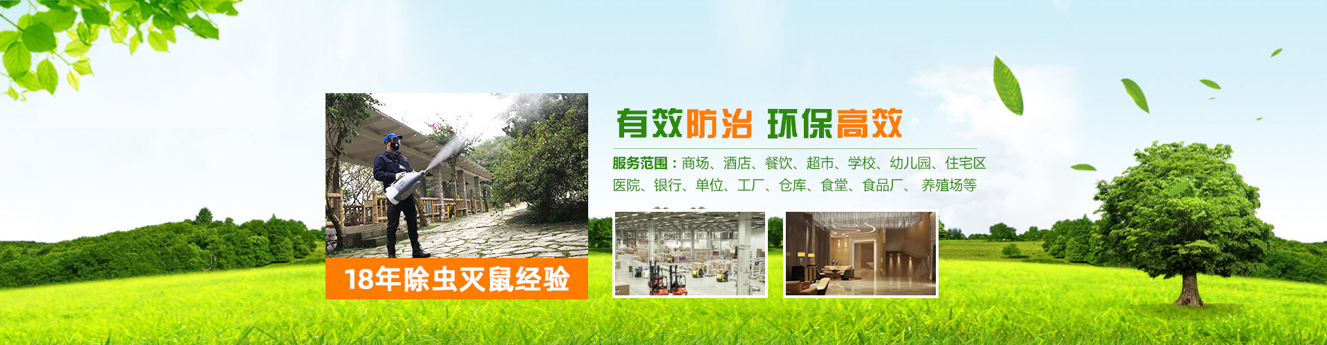 重庆专业杀虫公司