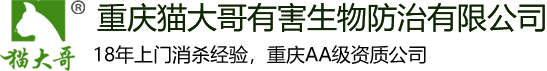 重庆市猫大哥有害生物防治